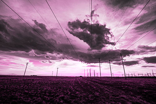 Creature Cloud Formation Above Powerlines (Pink Tone)