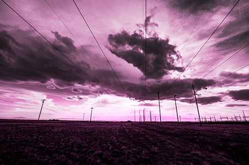 Creature Cloud Formation Above Powerlines (Pink Tone Photo)