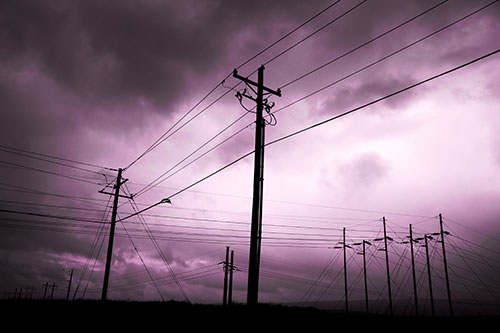 Crossing Powerlines Beneath Rainstorm (Pink Tone Photo)