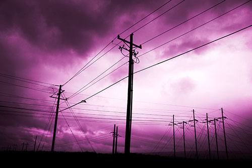 Crossing Powerlines Beneath Rainstorm (Pink Tone Photo)