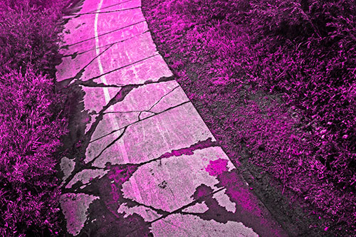 Curving Muddy Concrete Cracked Sidewalk (Pink Tone Photo)