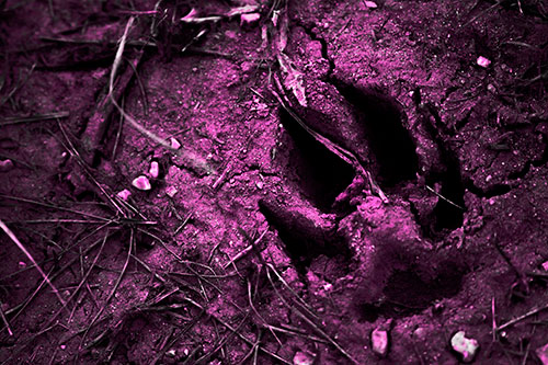 Deep Muddy Dog Footprint (Pink Tone Photo)