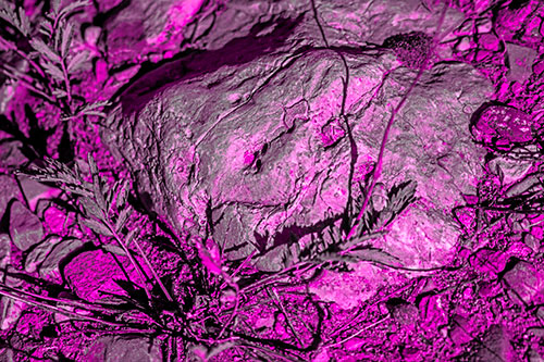Demonic Leaf Mouthed Rock Face Snarling Among Dirt (Pink Tone)