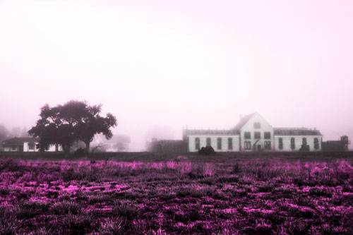 Departing Fog Reveals State Penitentiary (Pink Tone Photo)