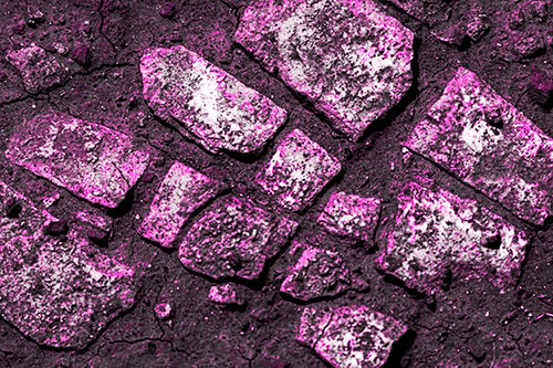 Dirt Covered Stepping Stones (Pink Tone Photo)