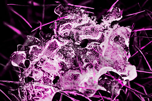 Dismayed Ice Dragon Face Frozen Among Piercing Grass Blades (Pink Tone)