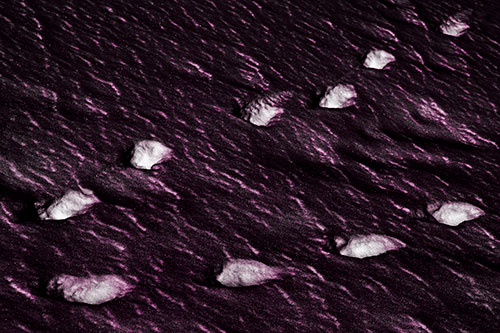 Distancing Snow Footprints (Pink Tone)