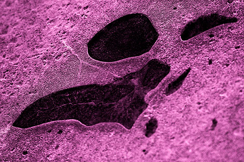 Distorted Skull Face Within Frozen Ice (Pink Tone Photo)