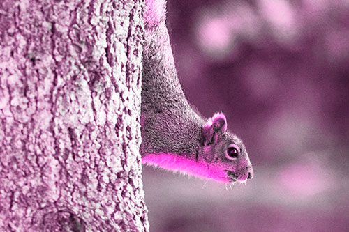 Downward Squirrel Yoga Tree Trunk (Pink Tone Photo)