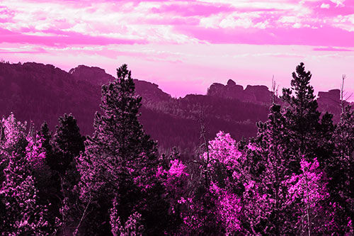 Fall Colors Emerge Infront Of Mountain Range (Pink Tone Photo)