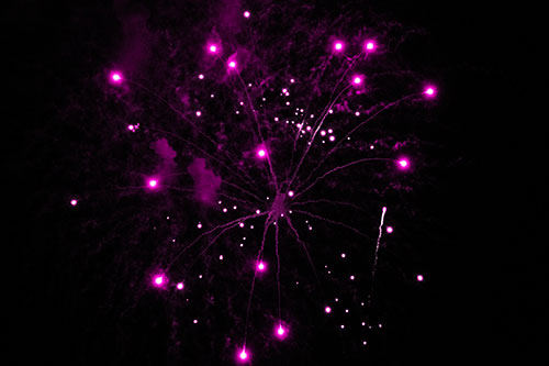 Firework Light Orbs Free Falling After Explosion (Pink Tone Photo)