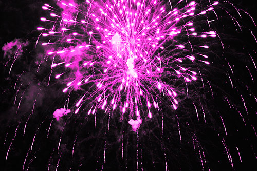 Fireworks Explosion Lights Night Sky Ablaze (Pink Tone Photo)