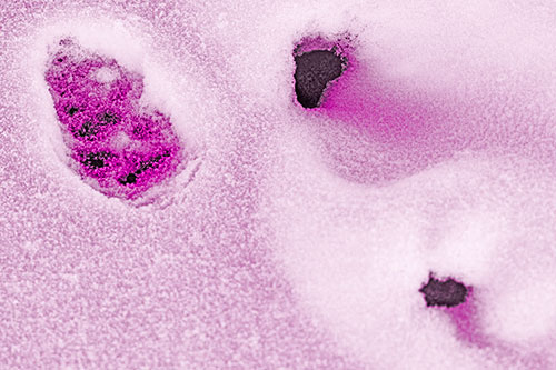 Footprint Eye Snow Face Atop Rock Surface (Pink Tone)