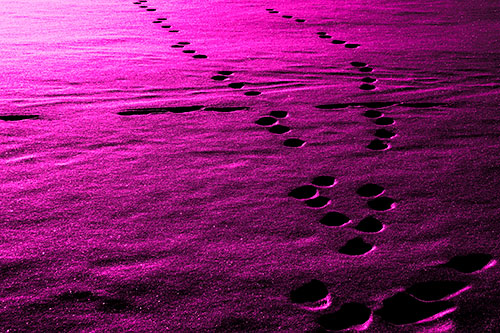 Footprint Trail Across Snow Covered Lake (Pink Tone Photo)