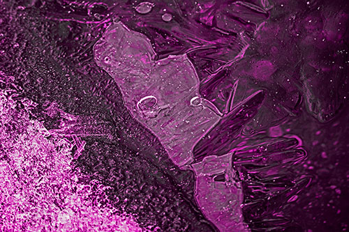 Frozen Bubble Eyed Ice Face Figure Along River Shoreline (Pink Tone Photo)