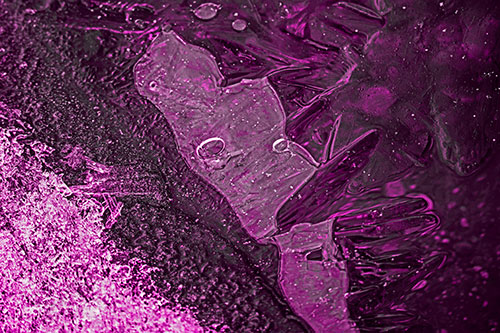 Frozen Bubble Eyed Ice Face Figure Along River Shoreline (Pink Tone)