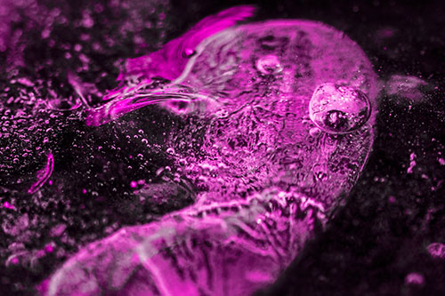 Frozen Distorted Bubble Eyed Ice Face (Pink Tone)
