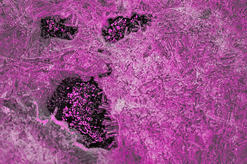 Frozen Ice Screaming Pebble Soil Face (Pink Tone Photo)