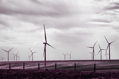 Gloomy Clouds Overcast Wind Turbine Pasture (Pink Tone)