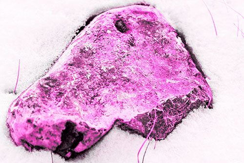 Horse Faced Rock Imprinted In Snow (Pink Tone Photo)