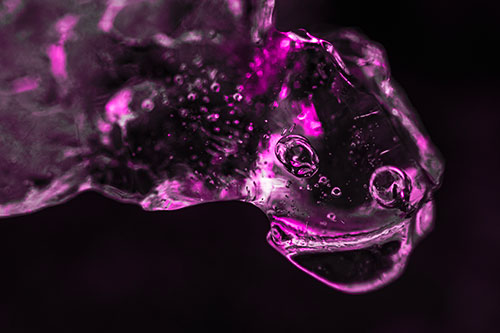 Joyful Frozen Bubble Eyed River Ice Face Creature (Pink Tone Photo)