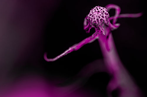 Kung Fu Gumplant Figure Punching Among Wind (Pink Tone)