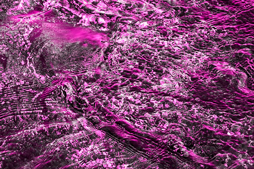Large Algae Rock Creating River Water Ripples (Pink Tone Photo)