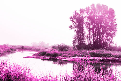Large Foggy Trees At Edge Of River Bend (Pink Tone Photo)
