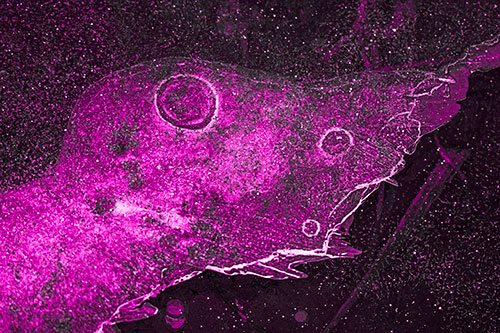 Large Headed Bubble Eyed Ice Face Frozen Among River (Pink Tone)