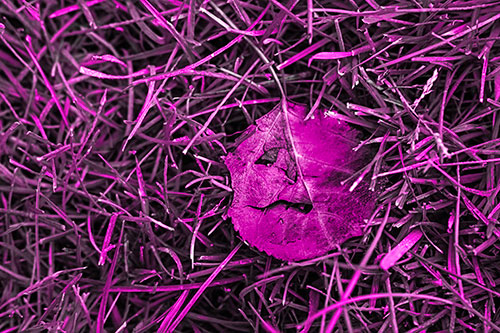 Leaf Face Smirking Among Wet Grass (Pink Tone)