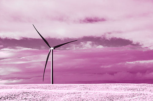 Lone Wind Turbine Standing Along Dry Prairie Horizon (Pink Tone Photo)