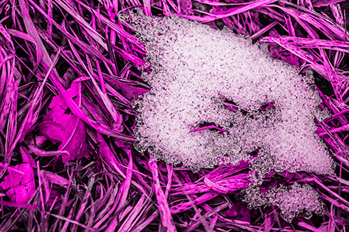 Miserable Slanted Grass Eyed Snow Face (Pink Tone)