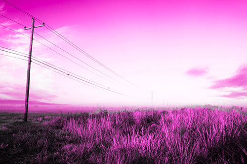 Powerlines Descend Among Foggy Prairie (Pink Tone Photo)