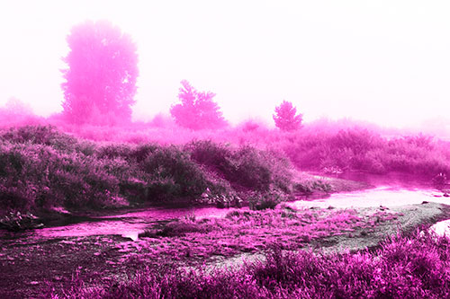 River Flowing Along Foggy Vegetation (Pink Tone Photo)
