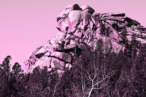 Rock Formations Rising Above Treeline (Pink Tone Photo)