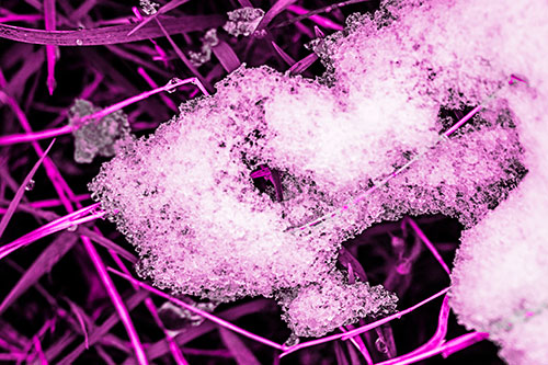 Sad Melting Grass Tangled Snow Face (Pink Tone)