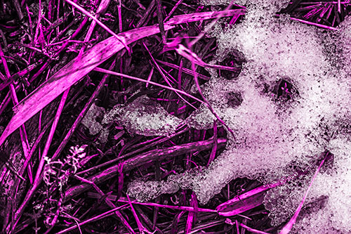 Sad Mouth Melting Ice Face Creature Among Soggy Grass (Pink Tone Photo)