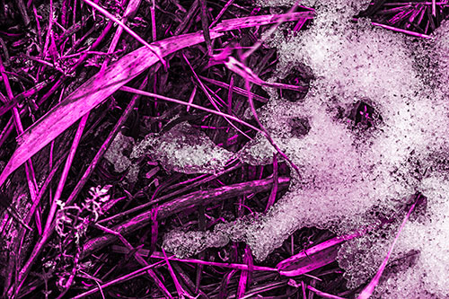 Sad Mouth Melting Ice Face Creature Among Soggy Grass (Pink Tone)
