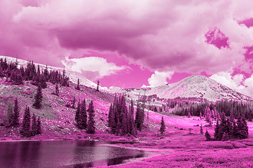 Scattered Trees Along Mountainside (Pink Tone Photo)