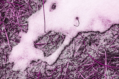 Screaming Stick Eyed Snow Face Among Grass (Pink Tone Photo)