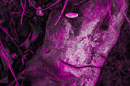 Smirking Battered Rock Face (Pink Tone Photo)