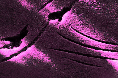 Snowy Bird Footprint Claw Marks (Pink Tone Photo)