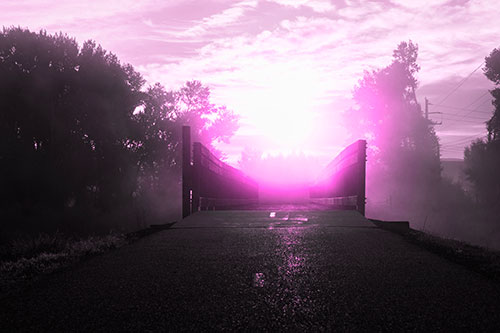 Sun Rises Beyond Foggy Wooden Walkway Bridge (Pink Tone Photo)
