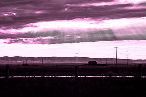Sunlight Bursts Powerline Horizon After Rainstorm (Pink Tone Photo)