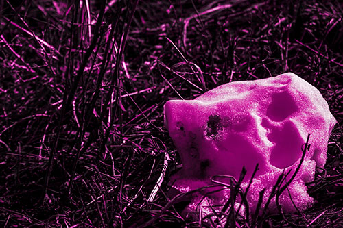 Sunlight Melting Dead Snow Face Head (Pink Tone Photo)