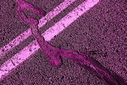 Tar Creeping Over Sidewalk Pavement Lane Marks (Pink Tone Photo)