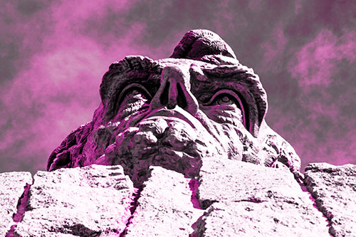 Vertical Upwards View Of Presidents Statue Head (Pink Tone Photo)