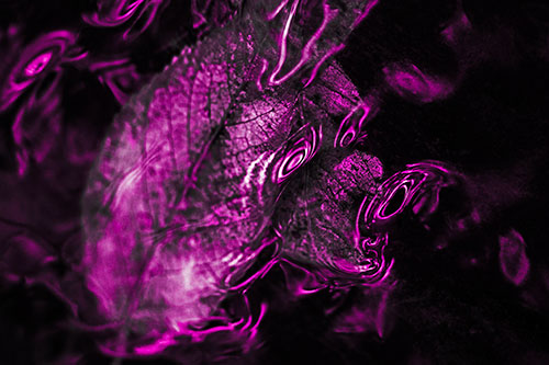 Water Ripple Faced Leaf In Submerged Trance (Pink Tone)