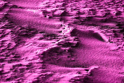 Wind Blowing Across Jagged Frozen Snow Drift (Pink Tone Photo)