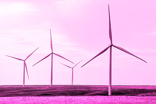Wind Turbines Standing Tall Among Grassy Pasture (Pink Tone)